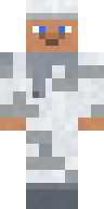 Arctic Recon Minecraft skin