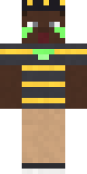 Charcoal Wildcard Minecraft skin
