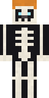 Frost Skeleton Minecraft skin