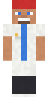 Painter Minecraft skin