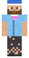 Sky Night Owl Minecraft skin